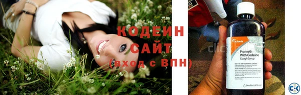 гашик Майский