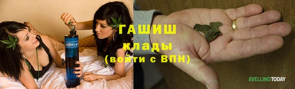 хмурый Лиски