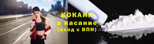 стаф Липки