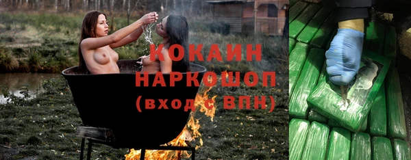 гашик Майский
