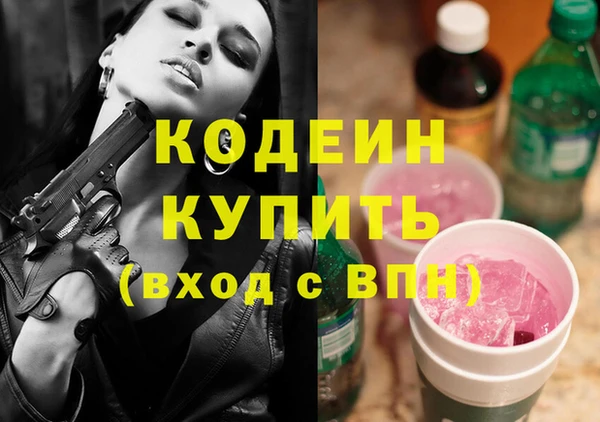 гашик Майский