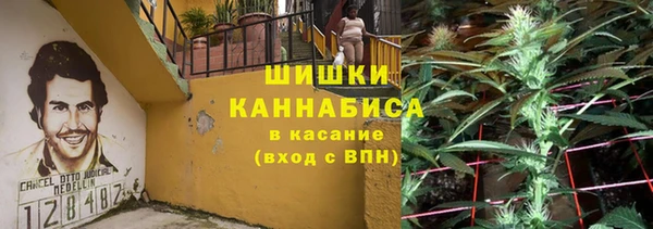 стаф Липки