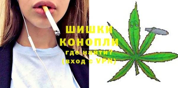 гашик Майский