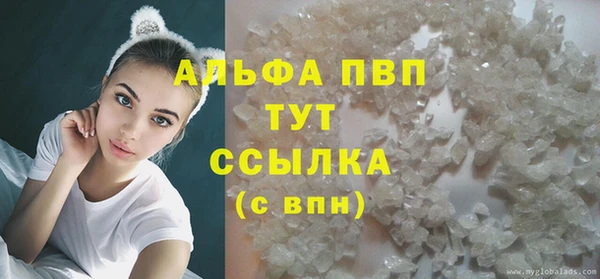 гашик Майский